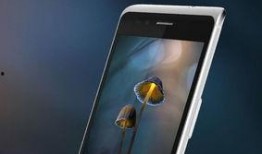 国产视频手机在线,引领潮流的影像新纪元